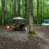 Review photo of Cosby Campground — Great Smoky Mountains National Park by Nick P., December 29, 2022