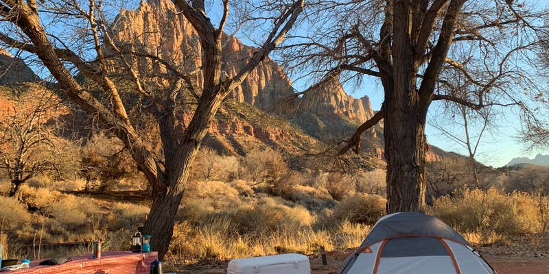 Camper submitted image from South Campground — Zion National Park