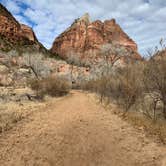 Review photo of South Campground — Zion National Park by Nick P., December 29, 2022