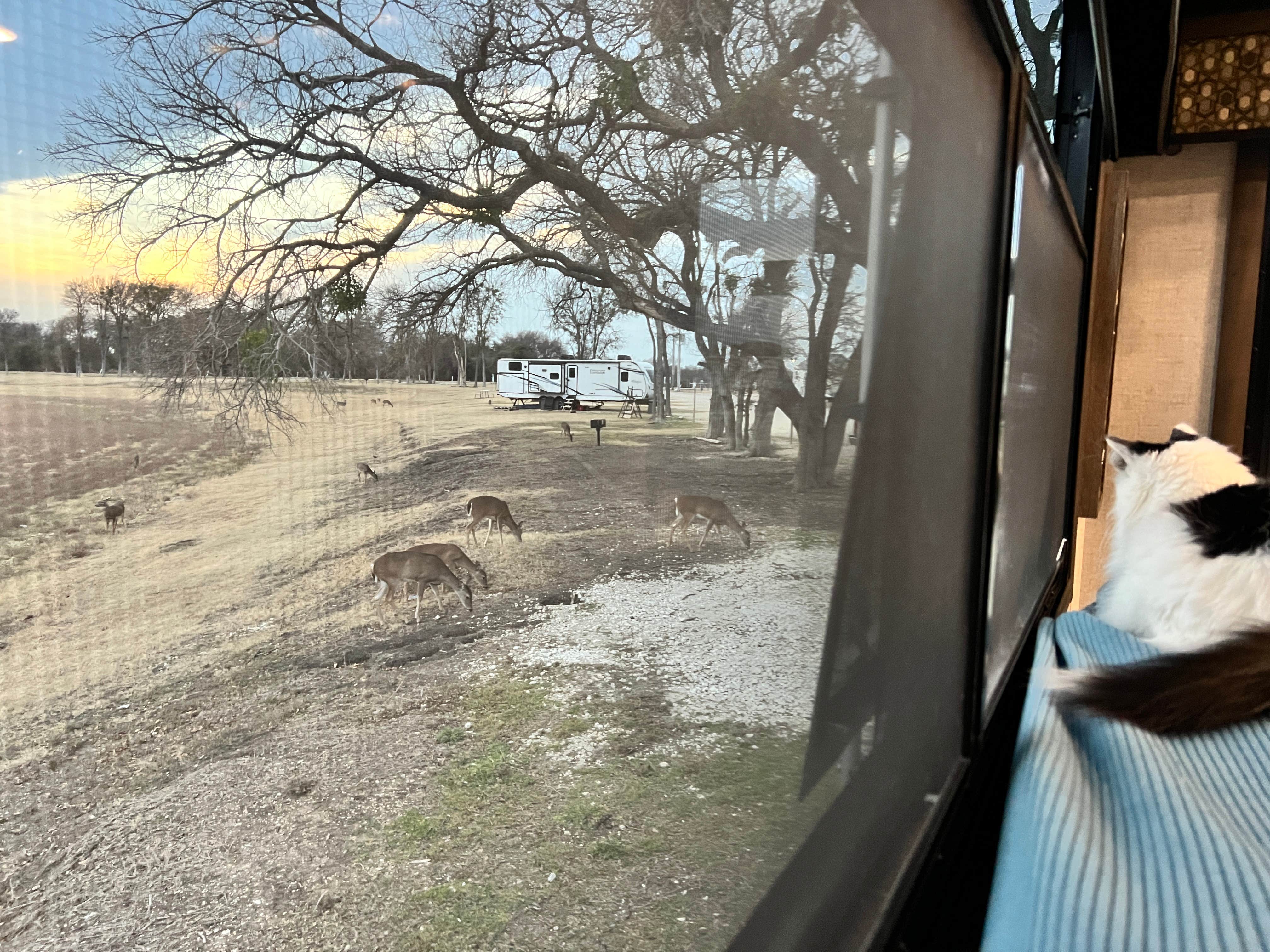 Camper-submitted photo at Lake Waco Marina near Waco, TX