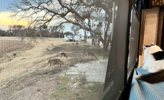 Erika P.'s photo of camping with pets at Lake Waco Marina near Navarro Mills Lake