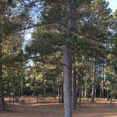 Review photo of Mississippi High Banks Primitive Group Campground by Janet R., September 25, 2018