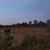 Review photo of J. W. Corbett WMA Primitive Camp by Lisa C., December 30, 2022