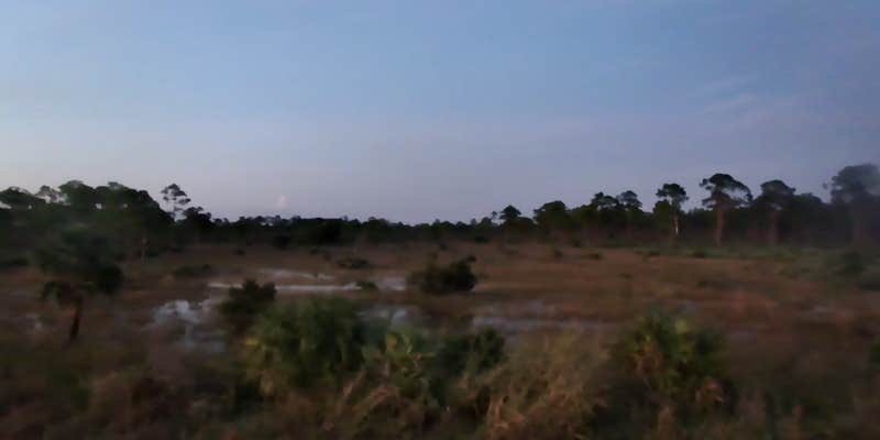 Camper submitted image from J. W. Corbett WMA Primitive Camp