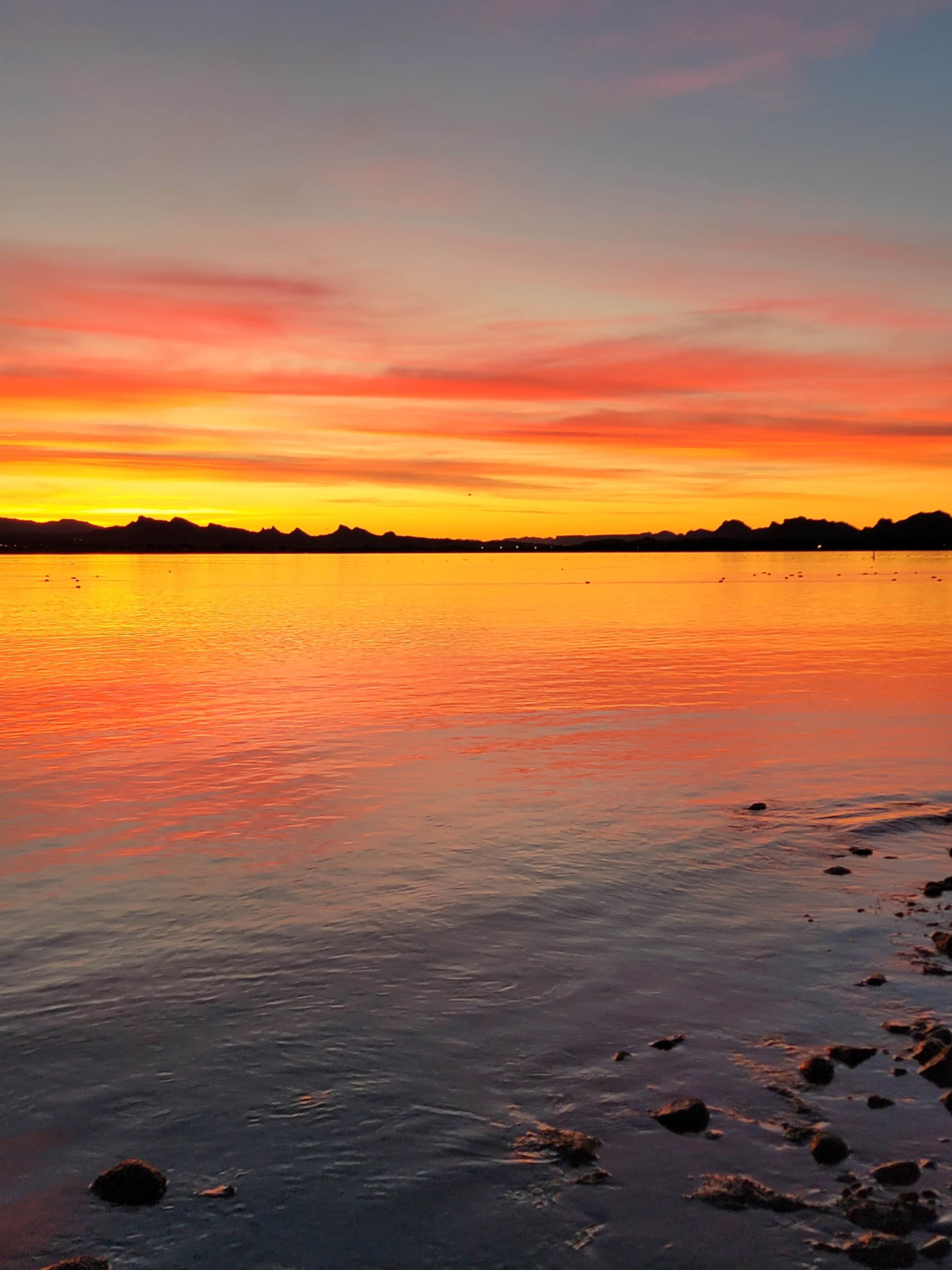 Camper-submitted photo at Havasu Landing Resort & Casino Campground near Lake Havasu City, AZ