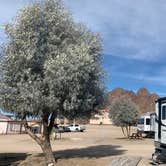 Review photo of Big Bend Resort & Adventures by Chris L., December 27, 2022