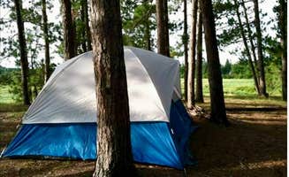 Janet R.'s photo of tent camping at Mississippi High Banks Primitive Group Campground near Cass Lake, MN