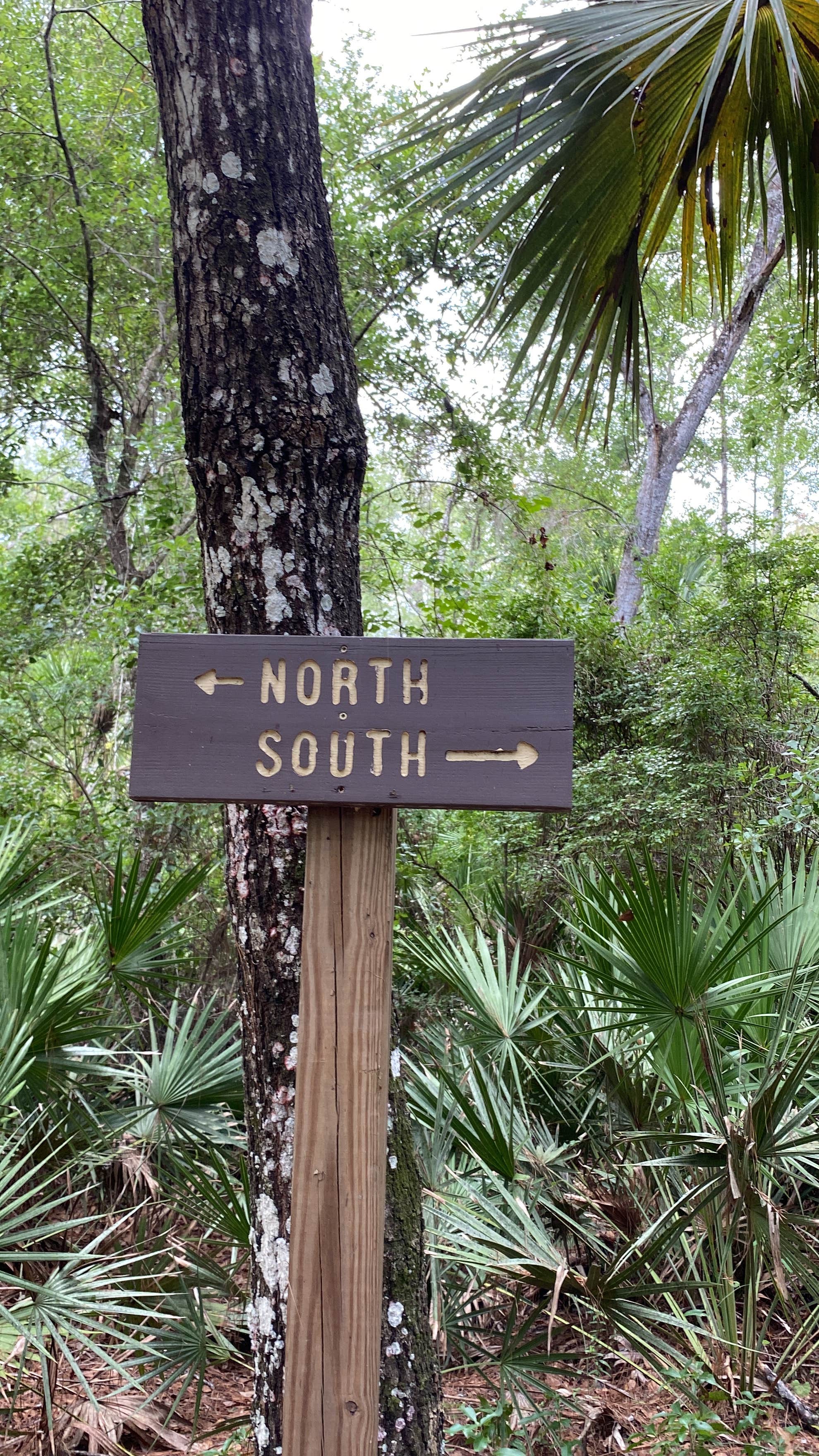 Camper-submitted photo at Lake Eaton Campground near Ocala National Forest