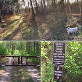Review photo of Mississippi High Banks Primitive Group Campground by Janet R., September 25, 2018