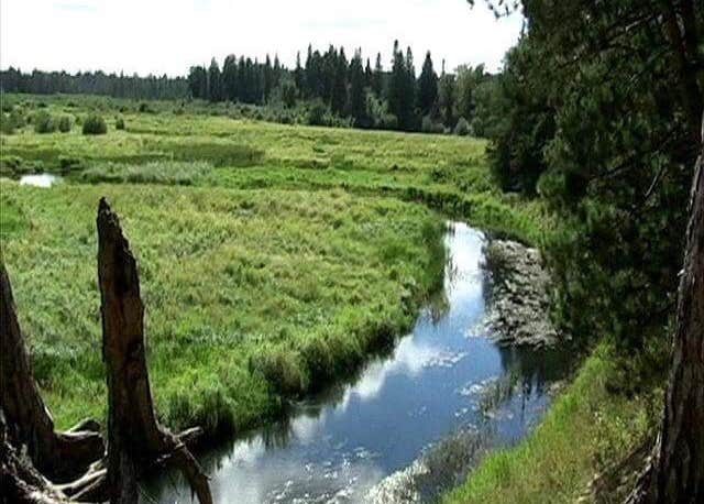 Camper-submitted photo at Mississippi High Banks Primitive Group Campground near Cass Lake, MN