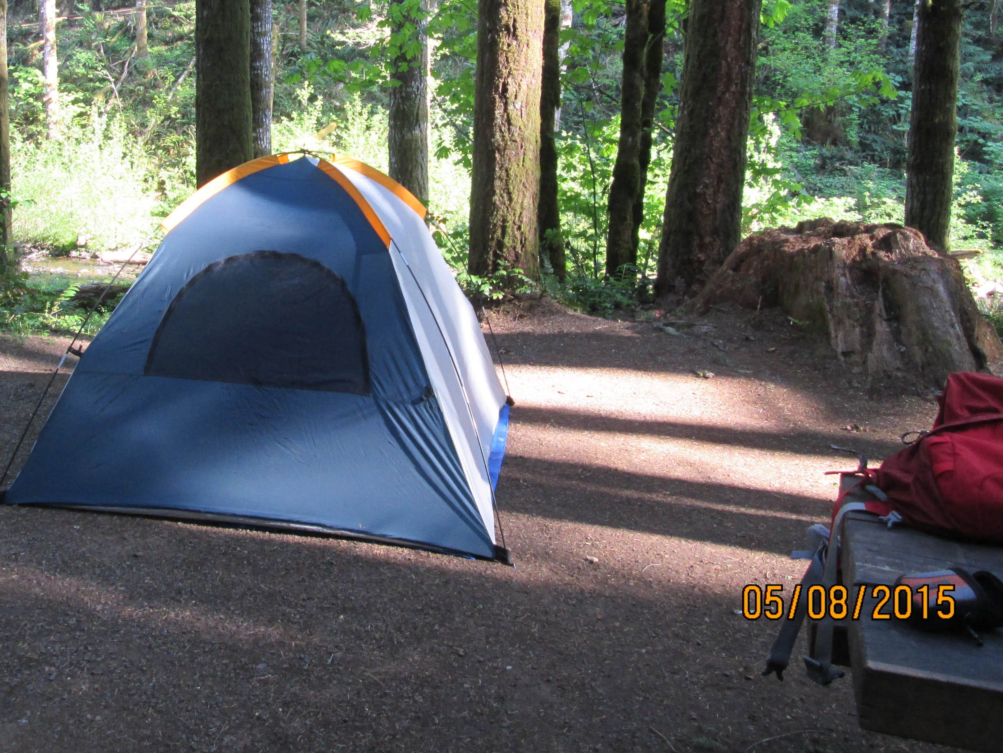 Camper-submitted photo at Gales Creek Campground near Timber, OR