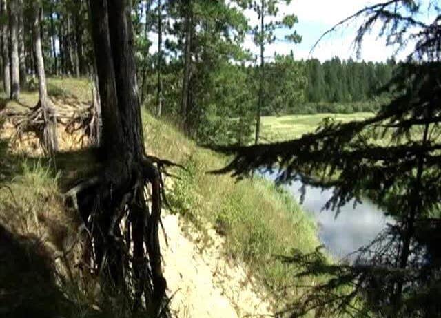 Camper-submitted photo at Mississippi High Banks Primitive Group Campground near Cass Lake, MN