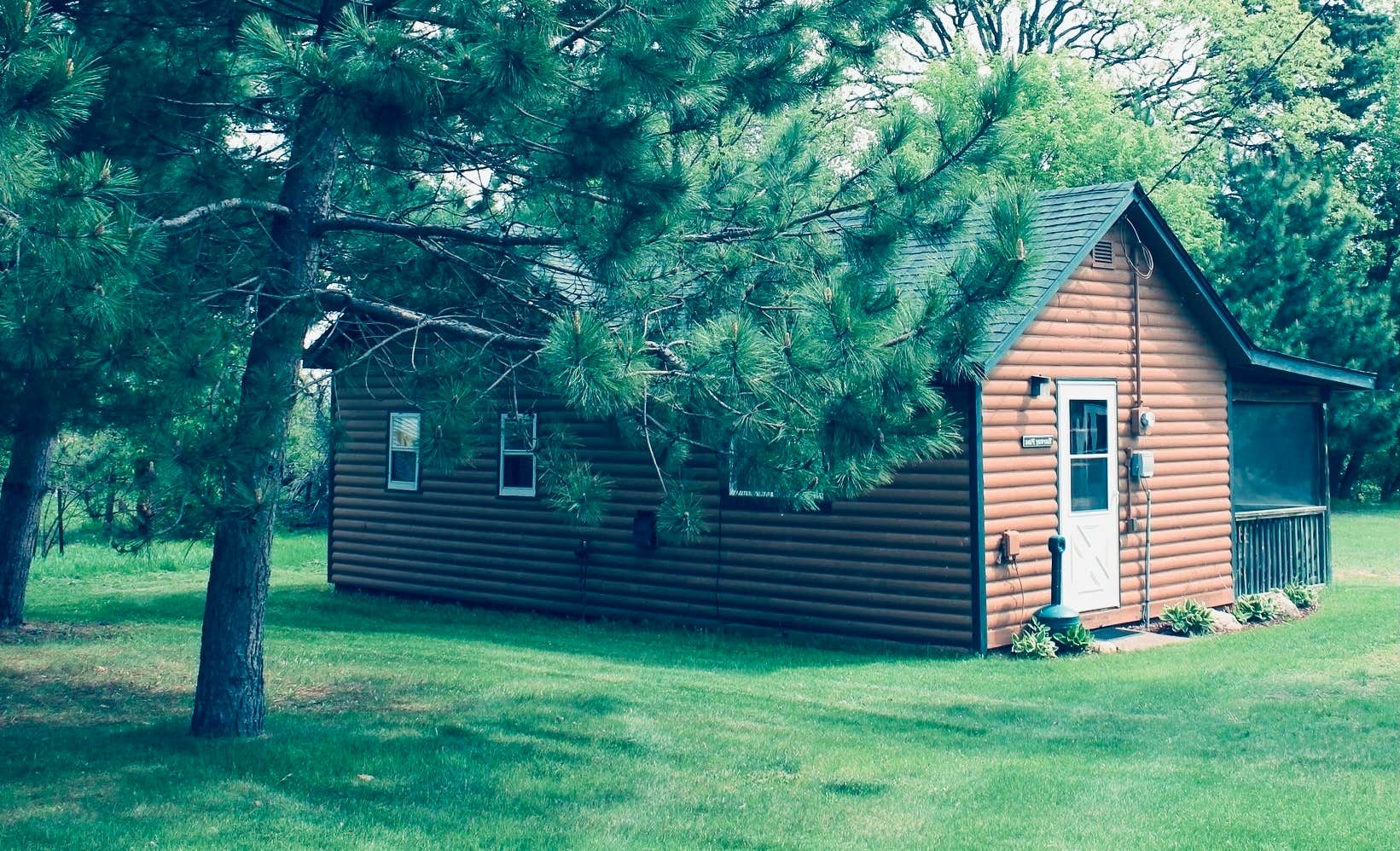 Lesley R.'s photo of a cabin at Bayside Cabins Resort near Mississippi River Headwaters - Cross Lake