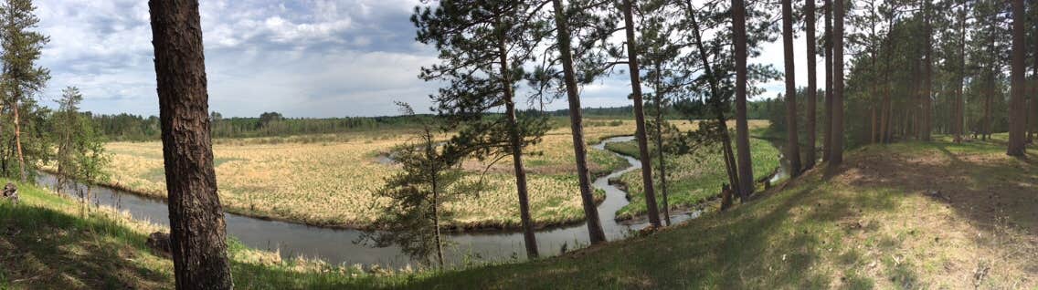 Camper-submitted photo at Mississippi High Banks Primitive Group Campground near Cass Lake, MN