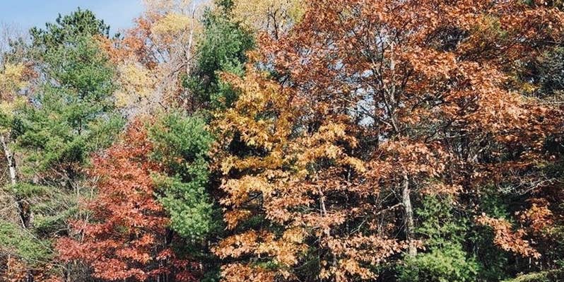 Camper submitted image from North View Campground