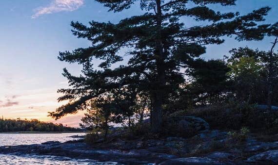 Camper-submitted photo at Rainy Lake Group Campsite near Ranier, MN
