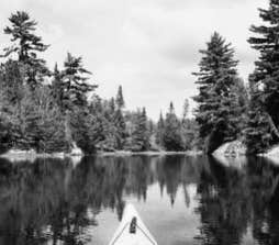 Camper-submitted photo at Rainy Lake Group Campsite near Ranier, MN
