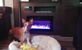 Jody B.'s photo of camping with pets at Jellystone Park™ Gardiner near Lagrangeville, NY