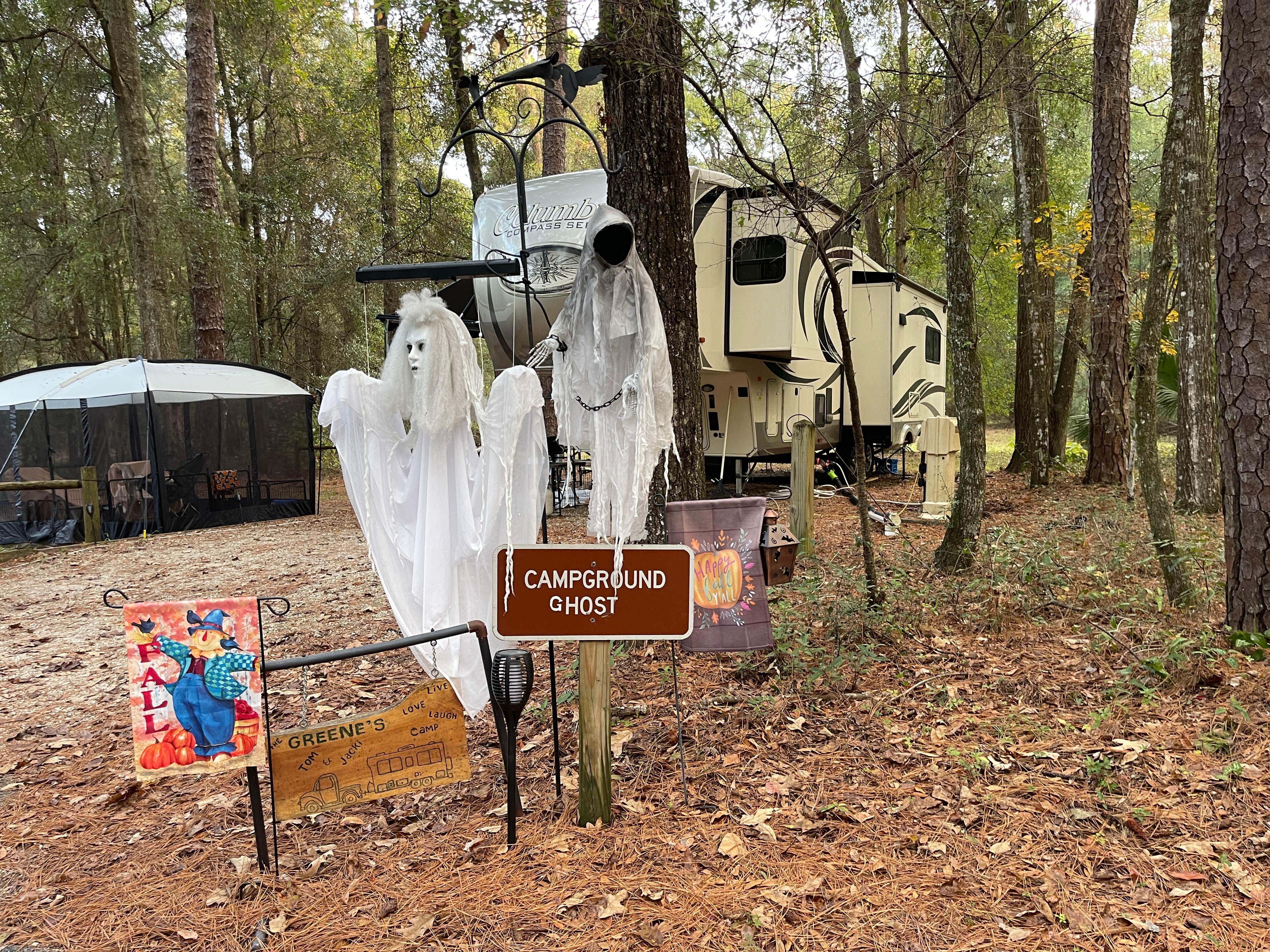 Lee D.'s photo at Suwannee River State Park Campground near Live Oak, FL
