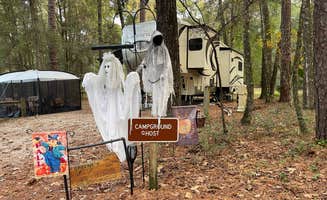 Lee D.'s photo at Suwannee River State Park Campground near Valdosta, GA