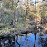 Review photo of Suwannee River State Park Campground by Lee D., December 31, 2022