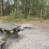 Review photo of Suwannee River State Park Campground by Lee D., December 31, 2022