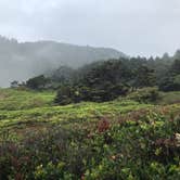 Review photo of Cape Perpetua by Kelly , December 31, 2022