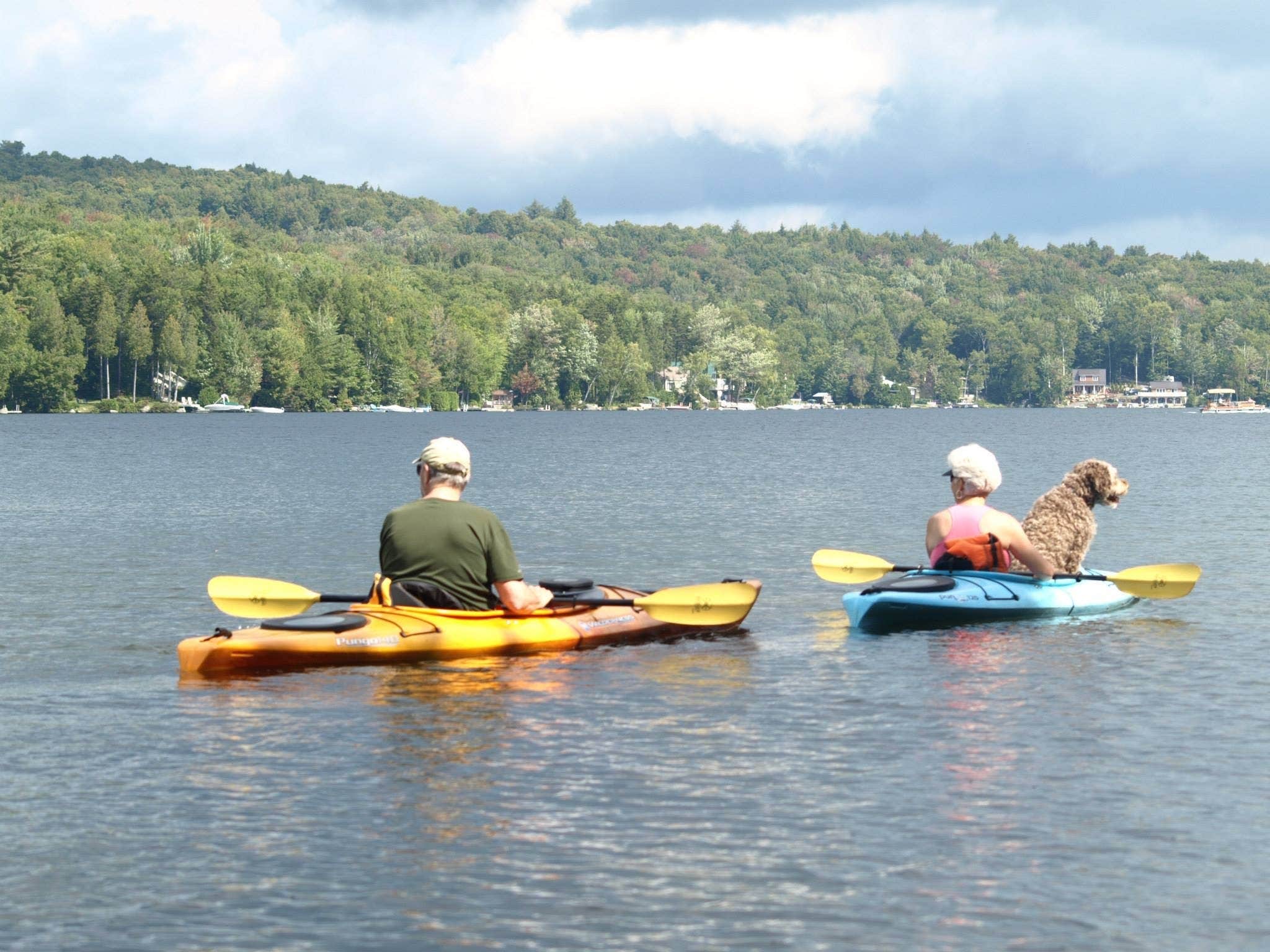 M.A.D. P.'s photo of camping with pets at Maidstone State Park — Maidstone State Forest near Colebrook, NH