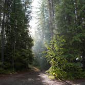 Review photo of Fish Creek Campground — Glacier National Park by Kelly , December 31, 2022