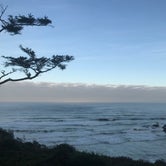 Review photo of Rock Creek Campground - Siuslaw by Kelly , December 31, 2022