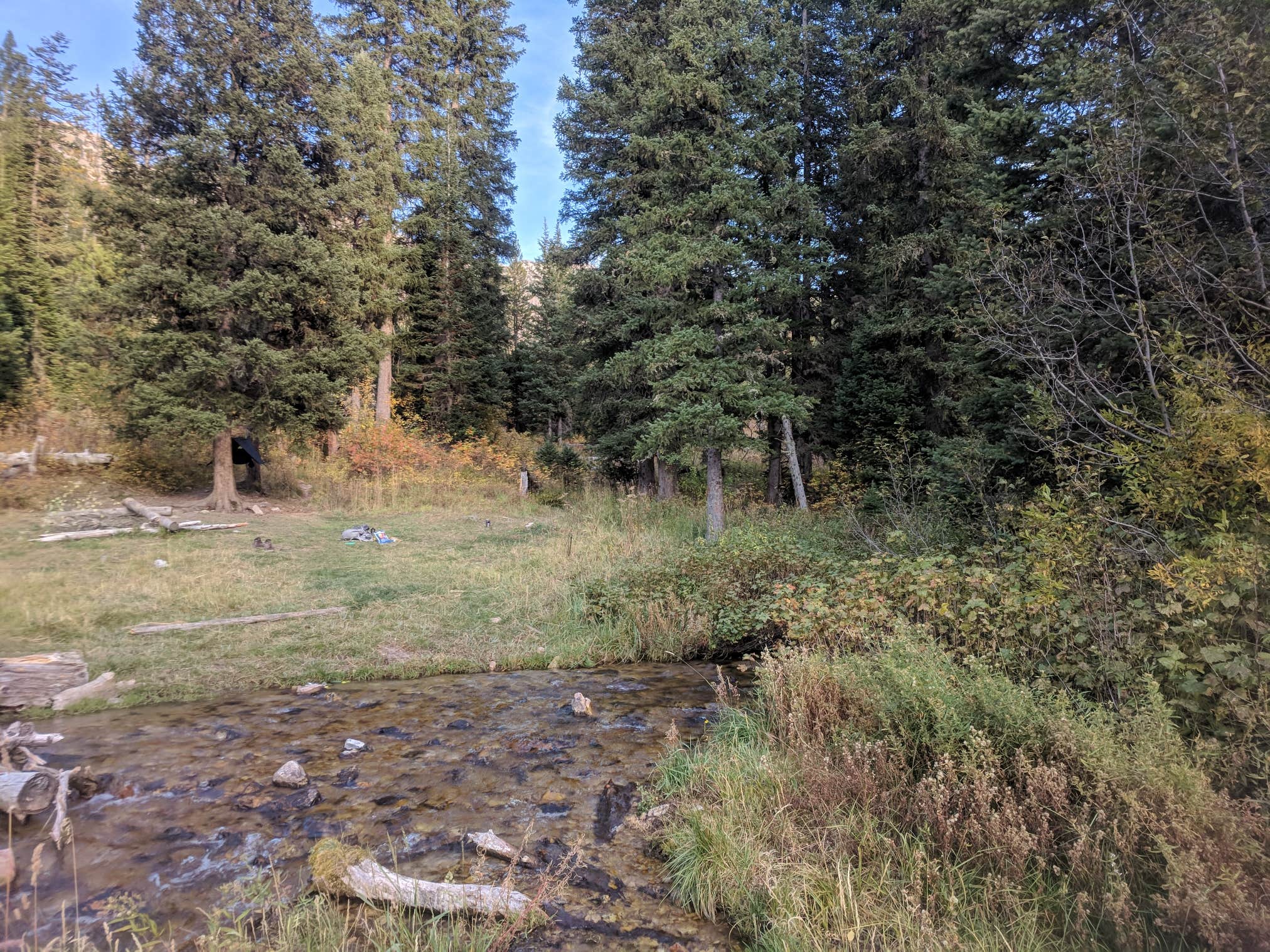 Camper-submitted photo at Palisades Creek Campground near Jackson, WY