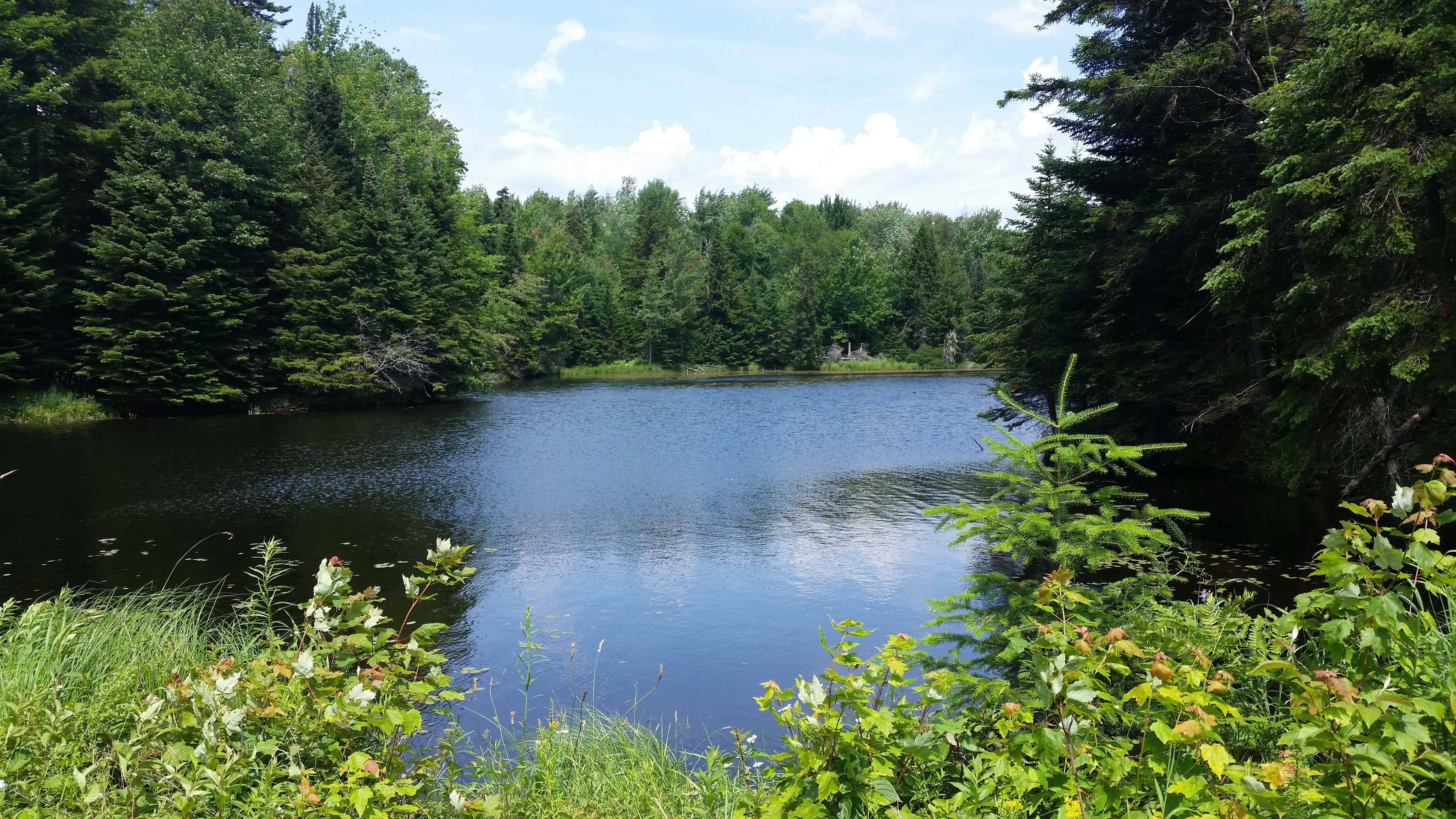 Camper-submitted photo at Green River Reservoir State Park Campground near Morrisville, VT