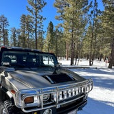 Review photo of Holcomb Valley Campground by Francisco M., December 31, 2022