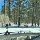 Review photo of Holcomb Valley Campground by Francisco M., December 31, 2022