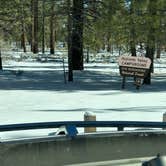 Review photo of Holcomb Valley Campground by Francisco M., December 31, 2022