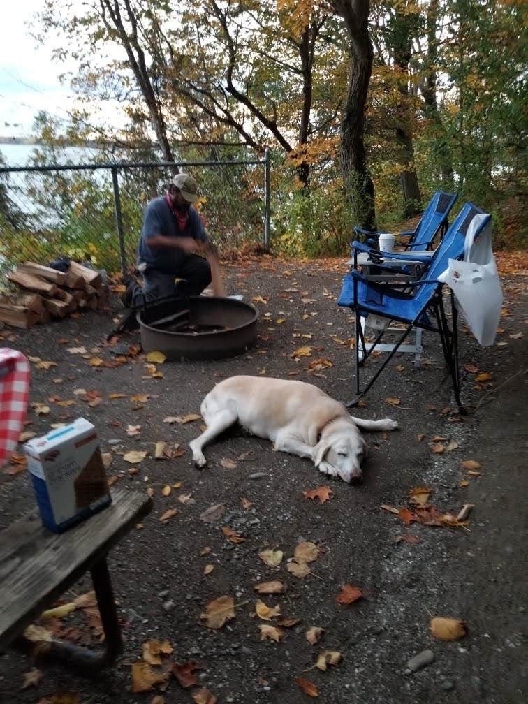 M.A.D. P.'s photo of tent camping at Mount Philo State Park Campground near Rainbow Lake, NY