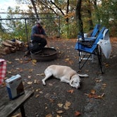 Review photo of Mount Philo State Park Campground by M.A.D. P., September 27, 2020