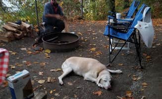 M.A.D. P.'s photo of tent camping at Mount Philo State Park Campground near Keene Valley, NY
