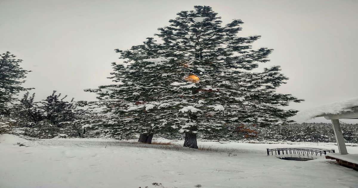 Double J Ranch - Main photo