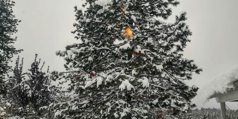 Camper submitted image from Double J Ranch