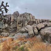 Review photo of Mojave Cross Dispersed — Mojave National Preserve by Tanner H., December 30, 2022