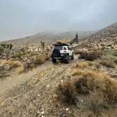 Review photo of Mojave Cross Dispersed — Mojave National Preserve by Tanner H., December 30, 2022