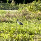 Review photo of Flamingo Campground — Everglades National Park by Lee D., December 31, 2022