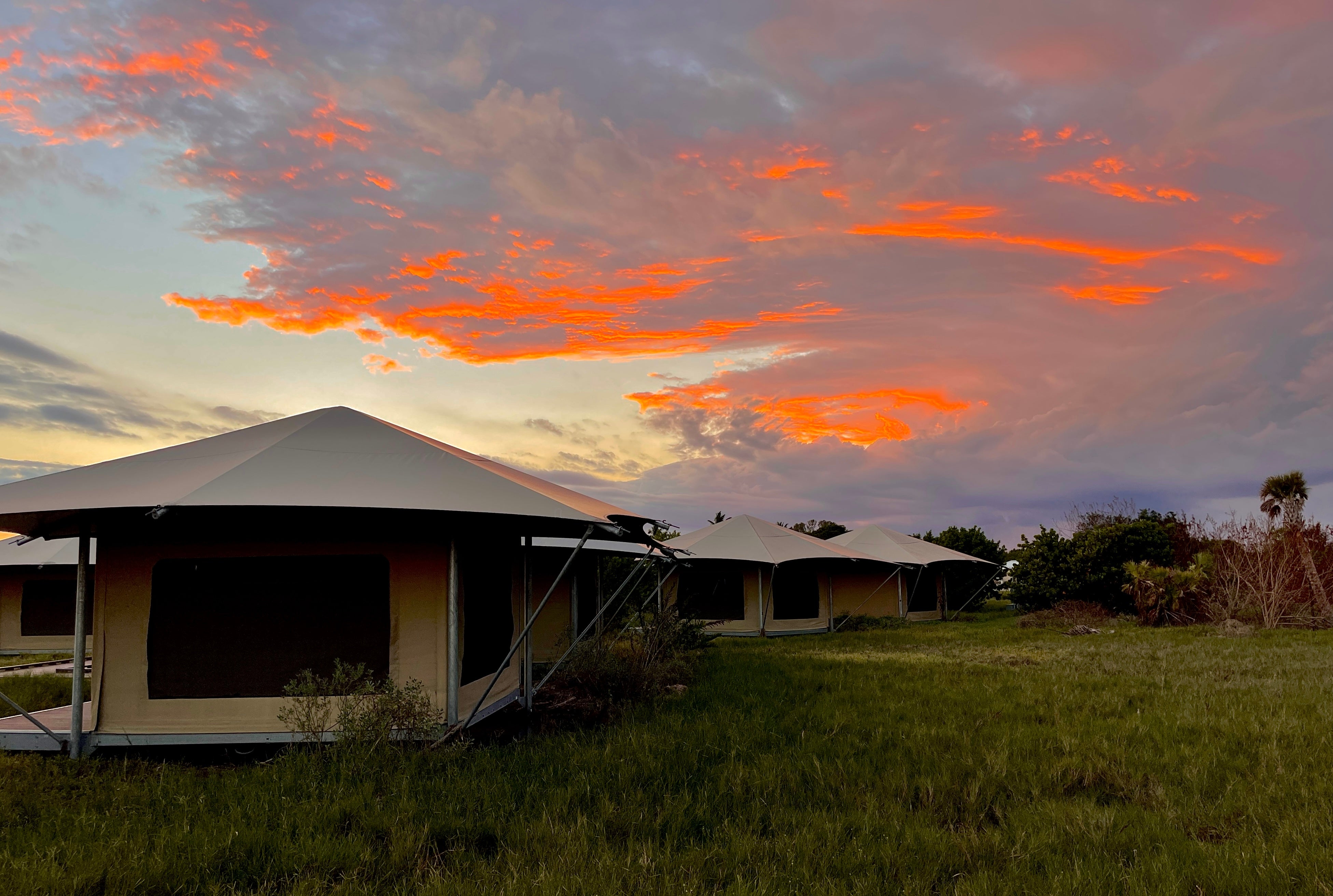 zwaartekracht duurzame grondstof onderwerp Flamingo at Everglades Eco-Tents Camping | The Dyrt