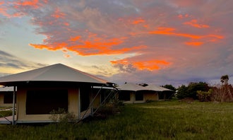 Flamingo at Everglades Eco-Tents