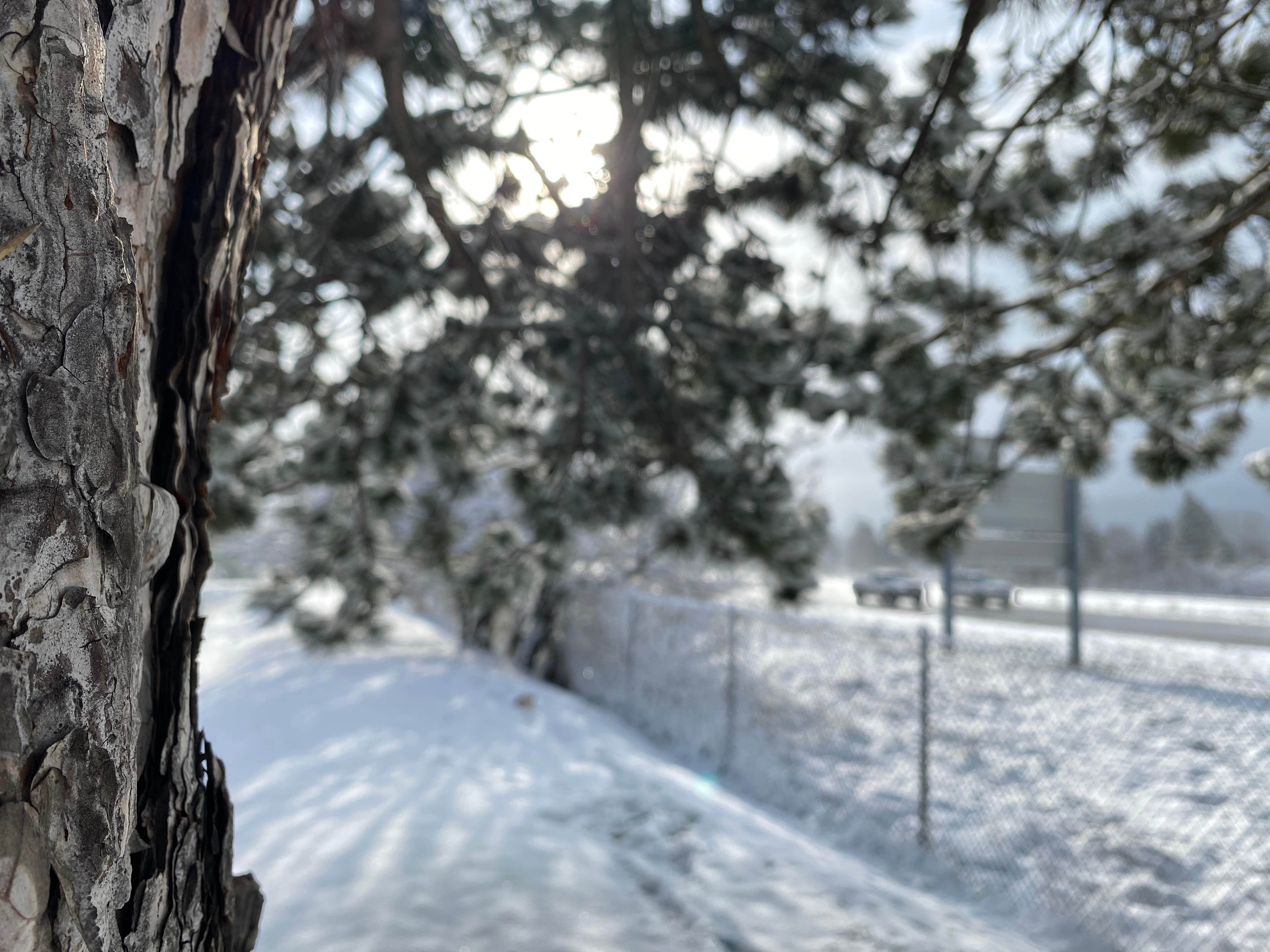 Camper-submitted photo at Suntree RV Park near Harrison, ID