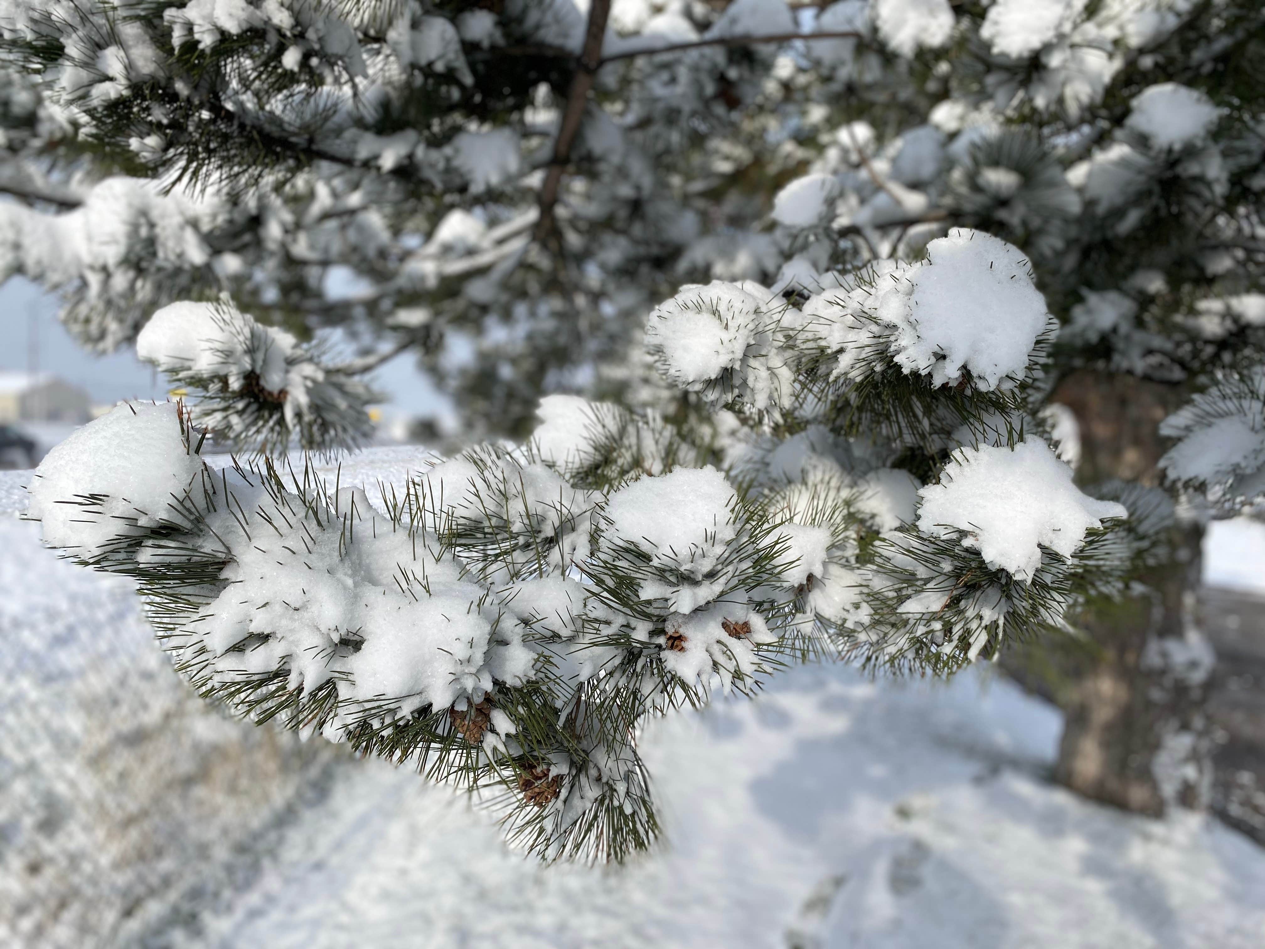 Camper-submitted photo at Suntree RV Park near Harrison, ID