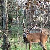 Review photo of Stephen Austin State Park by Napunani , December 31, 2022