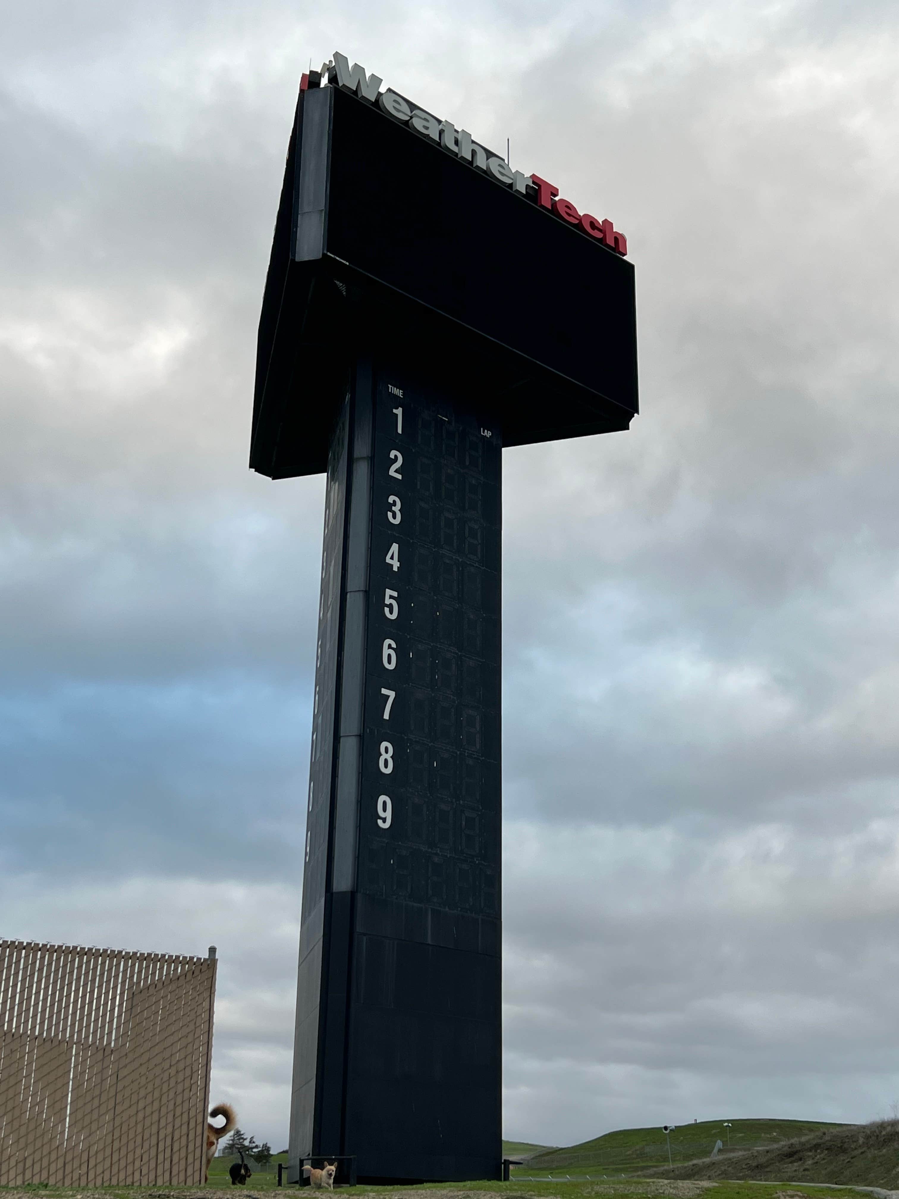 Anita's photo of camping with pets at Laguna Seca Recreation Area near Carmel Valley Village, CA