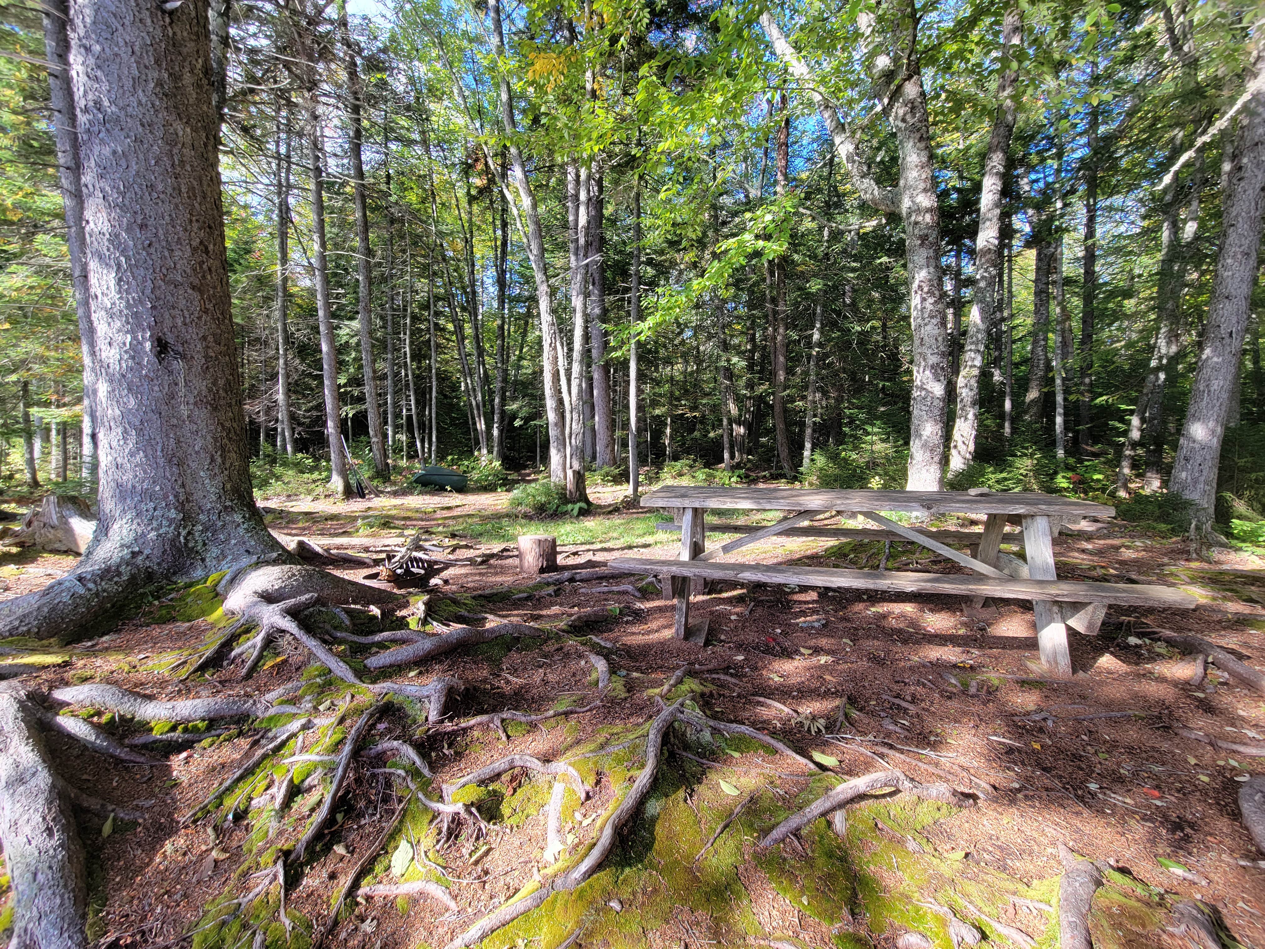 Camper-submitted photo at Little Moose Pond Campsite near Frenchtown, ME